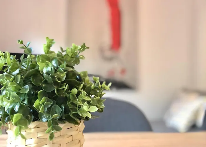 Apartamento Centrico - Casta Alvarez